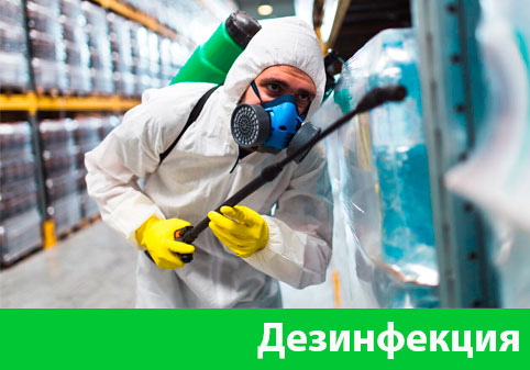 Дезинфекция в городе Благовещенск