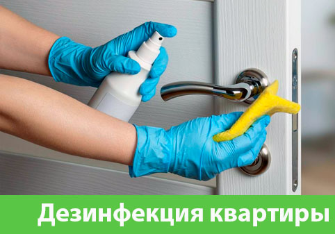 Дезинфекция квартиры в городе Благовещенск