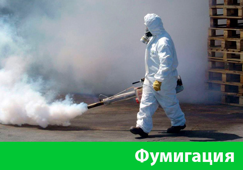 Фумигация в городе Благовещенск