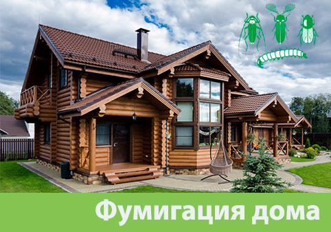 Преимущества обработки газом в городе Благовещенск