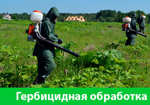 Гербицидная обработка в городе Благовещенск