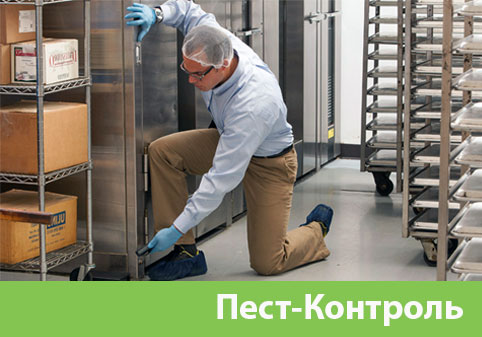 Пэст-Контроль в городе Благовещенск