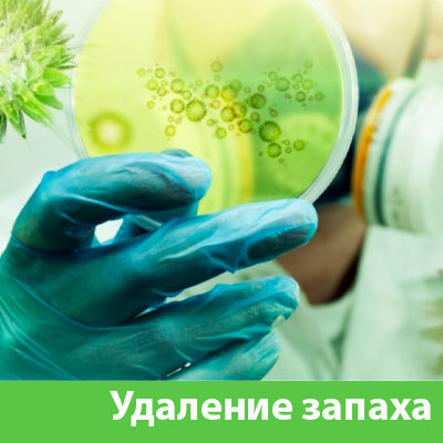 Удаление запахов в Благовещенске