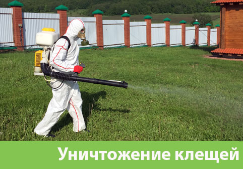 Уничтожение клещей в городе Благовещенск