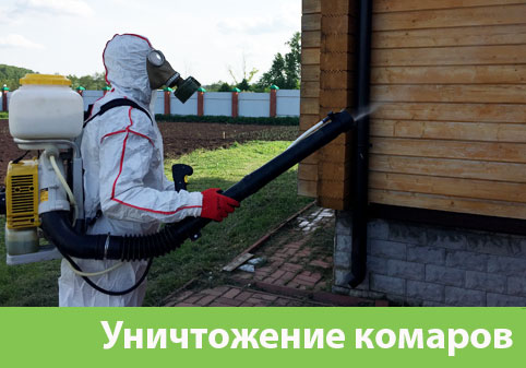 Уничтожение комаров в городе Благовещенск
