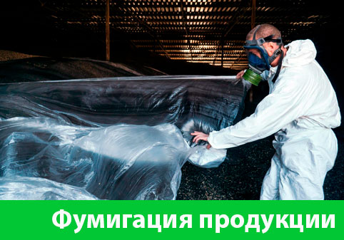 Фумигация продукции в городе Благовещенск